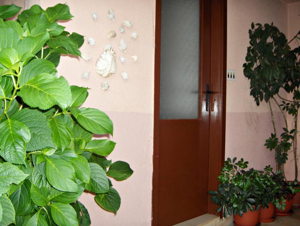 Guest House Roza Врбоска Номер фото