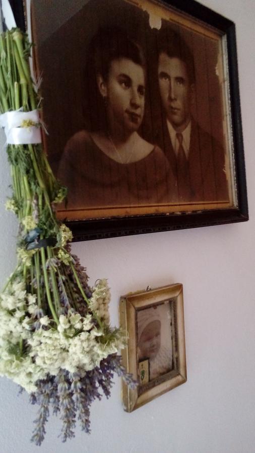 Guest House Roza Врбоска Экстерьер фото